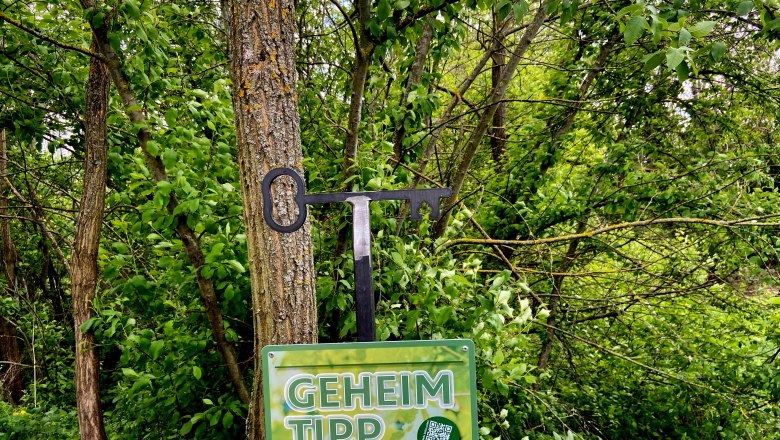 Kellergasse Hannelmühle, © Weinstraße Weinviertel Ein Schild mit der Aufschrift 'Geheimtipp' vor einem Baum in einem Waldgebiet.