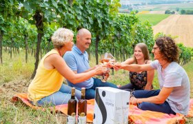 Familie Stopfer, © Martin Lifka Photography Vier Personen stoßen mit Weingläsern in einem Weinberg an.