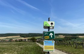 Schöner Ausblick am Radweg bei Oberthern, © Weinstraße Weinviertel Wegweiser am Radweg bei Oberthern mit Feldern im Hintergrund.