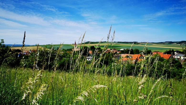 Wundervolle Aussicht, © Weinstraße Weinviertel Landschaft mit Wiese, Dorf und Hügeln im Hintergrund unter blauem Himmel.