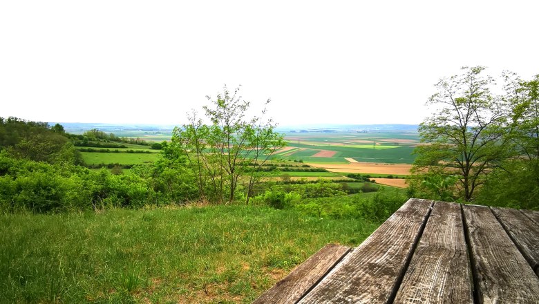 Rastplatz bei da Hiatahütte, © Weinstraße Weinviertel Holztisch mit Blick auf grüne Felder und Bäume im Weinviertel.