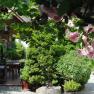Garten, © Fam. Pointner Garten, © Fam. Pointner