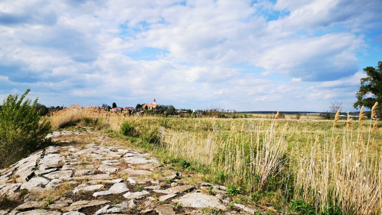 Rückhaltebecken - ein richtiger Geheimtipp, © Weinstraße Weinviertel Steinweg durch eine Wiesenlandschaft mit Schilf und einem Dorf im Hintergrund unter blauem Himmel.