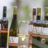 Breitgefächertes Weinsortiment, © Michael Himml Verschiedene Weinflaschen und ein Glas Weißwein auf einem Tisch.
