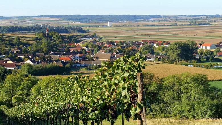 Frauendorf, © M. Greil Panorama eines Dorfes mit Feldern und Weinbergen im Vordergrund.