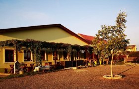 Dorfheurigen, © M. Vittek Gelbes Gebäude mit Terrasse, Weinreben und Baum im Vordergrund bei Sonnenuntergang.