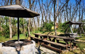 Genießen am Hutberg, © Weinstraße Weinviertel Grillplatz mit Holztischen und Schaukeln im Wald.