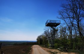 Heidbergwarte in Alberndorf, © Weinstraße Weinviertel Aussichtsturm Heidbergwarte in Alberndorf neben einem Weg mit Bäumen und einem Fahrrad.