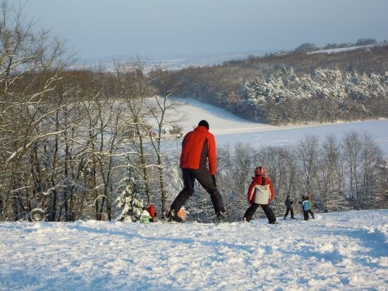 Ski-Vergnügen in Fahndorf bei Hollabrunn, © Skiclub Hollabrunn Menschen beim Skifahren auf einem schneebedeckten Hügel mit Bäumen im Hintergrund.