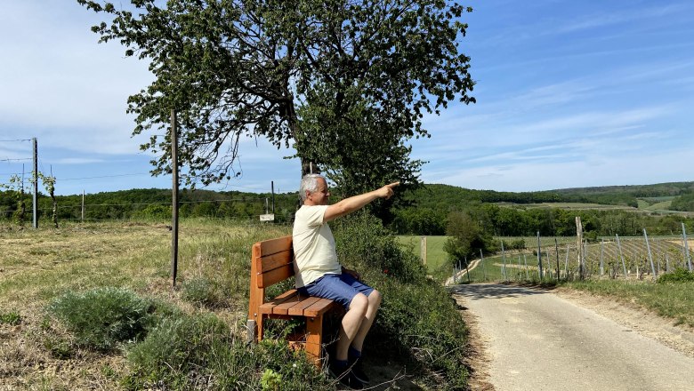 Rastbankerl mit Weitblick, © Weinstraße Weinviertel Eine Person sitzt auf einer Bank neben einem Baum und zeigt in die Ferne. Im Hintergrund sind Felder und ein blauer Himmel zu sehen.