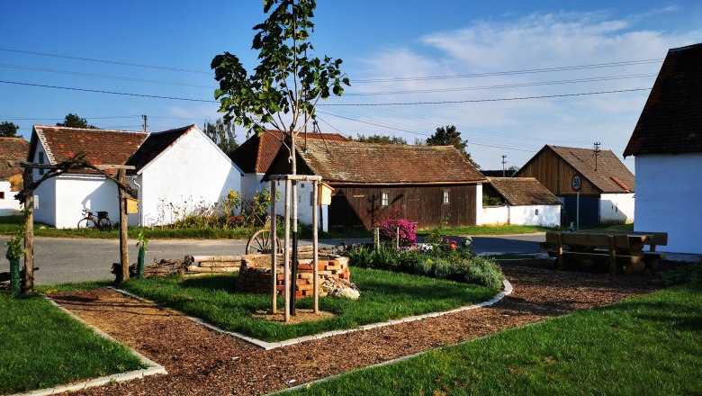 Euregio Vinothek in Seefeld-Kadolz, © Weinstraße Weinviertel Ein ländlicher Hof mit weißen Gebäuden, einem kleinen Garten und einem Baum unter blauem Himmel.