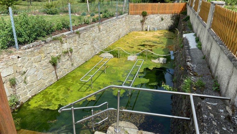 Wassertretanlage Großreipersdorf, © Weinstraße Weinviertel Wassertretanlage mit grünem Wasser und Metallgeländer.