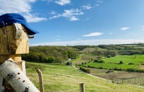 Der Holzmann überwacht die Klumpatgruam, © Weinstraße Weinviertel Holzfigur mit blauer Kappe blickt auf hügelige Landschaft mit Feldern und Wäldern unter blauem Himmel.