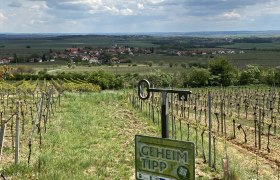 Riede Triftberg, © Weinstraße Weinviertel Weinberg mit Blick auf ein Dorf im Weinviertel, Schild mit der Aufschrift 'Geheimtipp'.
