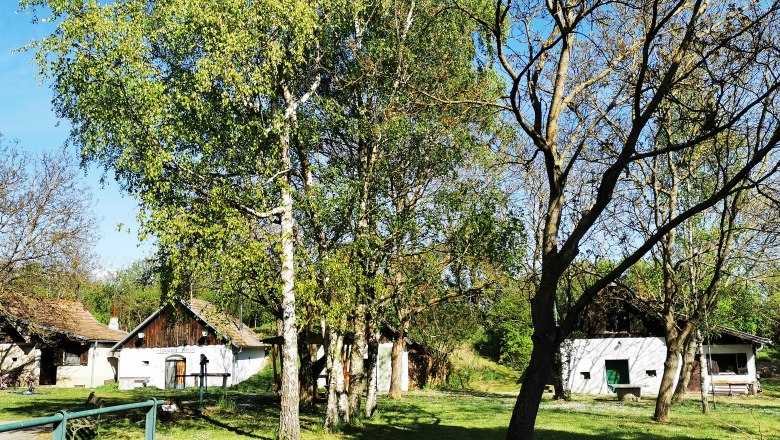 Kellergasse Loamgstettn Schalladorf, © Weinstraße Weinviertel Kellergasse in Schalladorf mit Bäumen und kleinen Gebäuden.