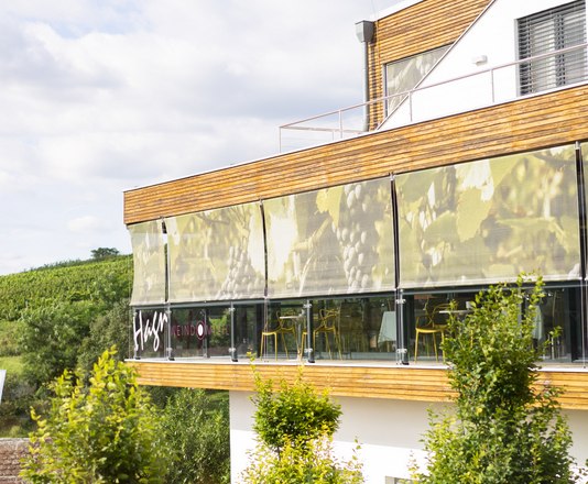 Weindomizil Hagn, © Stefanie Winter Modernes Gebäude mit Terrasse und Weinreben im Hintergrund.