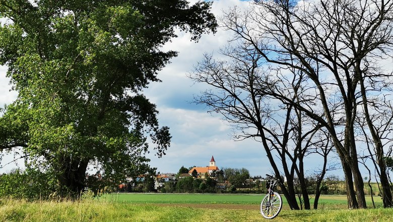 Ausblick Richtung Pfaffendorf, © Weinstraße Weinviertel Landschaft mit Bäumen, einem Fahrrad und einem Dorf im Hintergrund.