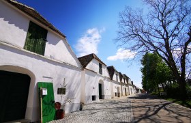 Kellergasse Zipf, © Weinstraße Weinviertel Kellergasse in Mailberg mit weißen Gebäuden und blauem Himmel.