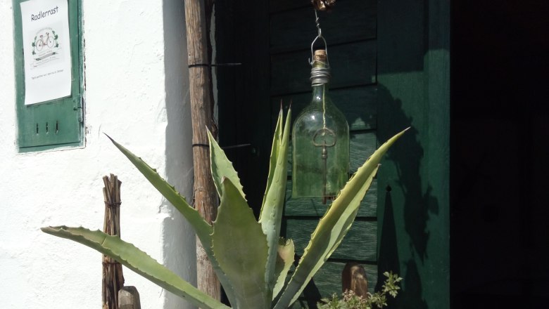 Kellerschlüssel, © Weinstraße Weinviertel Pflanze in einem Holzfass vor einer grünen Tür mit einem Schild 'Radlerrast'.