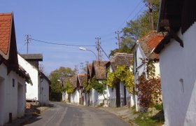 Große Kellertrift, © Andrea Kitla Eine schmale Straße mit traditionellen, weißen Häusern und Weinreben an den Fassaden.