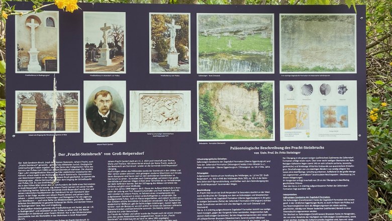 Prachtsteinbruch Großreipersdorf, © Weinstraße Weinviertel Informationstafel über den Prachtsteinbruch Großreipersdorf mit Bildern und Texten.
