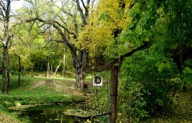 Romantisches Fleckerl in Dippersdorf, © Marktgemeinde Ziersdorf Ein idyllischer Wald mit einem kleinen Teich und einer alten Holzpumpe im Vordergrund.