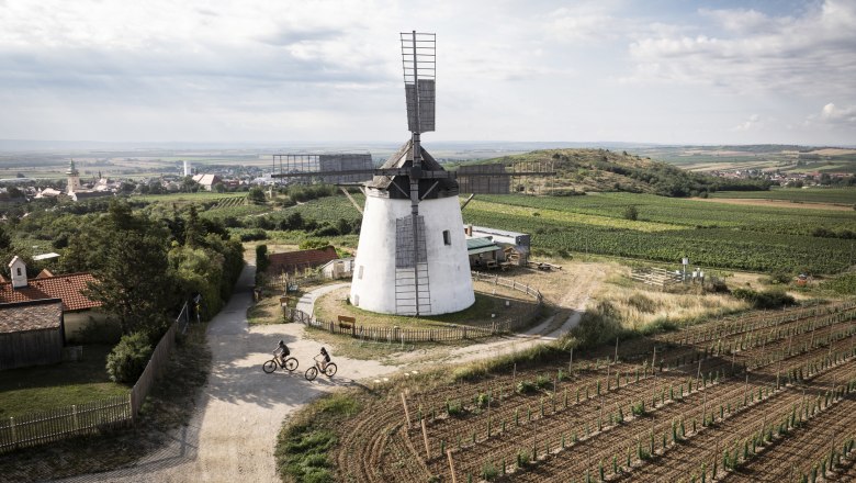 Retzer Windmühle, © Weinviertel Tourismus GmbH / Frühmann Landschaft mit Windmühle und Radfahrern in Retz, Österreich.
