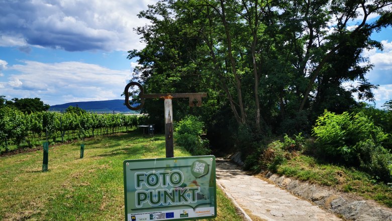 Versteckte Kellergasse Seitweg, © Weinstraße Weinviertel Ein Weg durch eine grüne Landschaft mit einem Schild 'Foto Punkt' im Vordergrund.