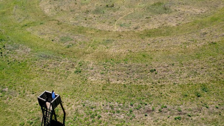 Unglaubliche Kreisgraben können von oben besichtigt werden, © Weinstraße Weinviertel Luftaufnahme eines großen, kreisförmigen Grabens auf einer Wiese mit einem Aussichtsturm im Vordergrund.