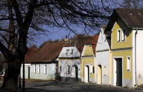 Eine Reihe traditioneller Weinkeller in der Kellergasse Nappersdorf, umgeben von kahlen Bäumen und blauem Himmel.