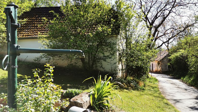 Ländliche Szene mit Wasserpumpe, Pflanzen und Weg.