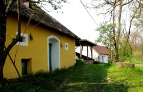 Gelbes Gebäude mit Holztür und kleinem Fenster, umgeben von Bäumen und Gras.
