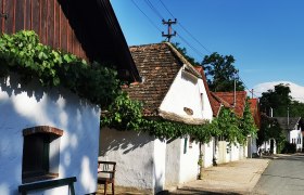 Kellergasse in Hadres, © Weinstraße Weinviertel