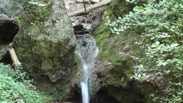 Ein kleiner Wasserfall flie&szlig;t zwischen moosbewachsenen Felsen in einem Waldgebiet.