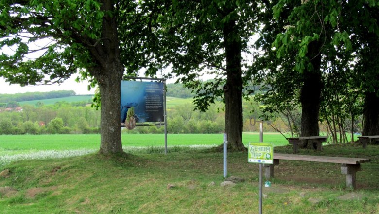 Schattiges Platzerl bei der kleinen Kapelle, © Marktgemeinde Ravelsbach
