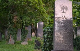 Jüdischer Friedhof in Hollabrunn mit alten Grabsteinen und Efeu bewachsenen Bäumen.