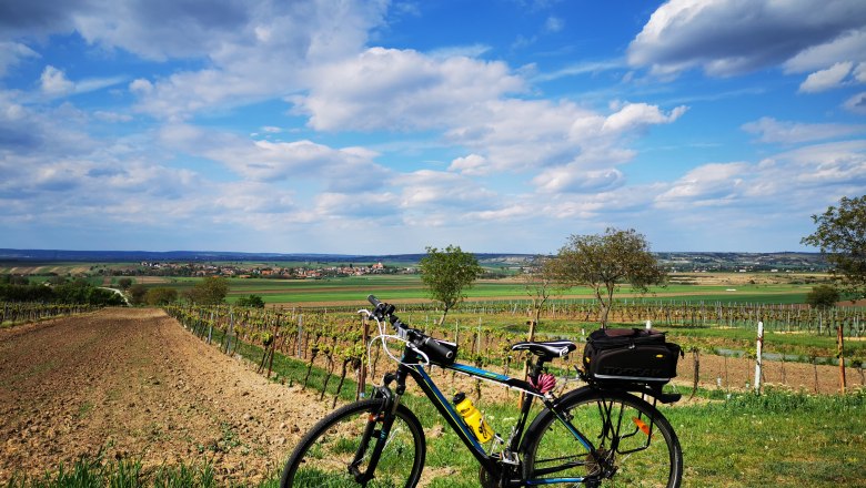 Brunnenhäuserl mit Aussicht, © Weinstraße Weinviertel