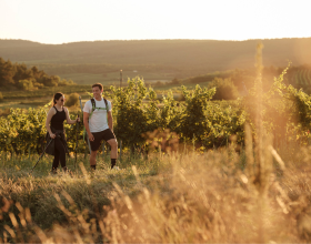 walk of wine, &copy; M. Reiniger