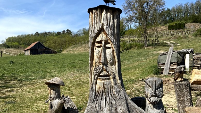 Holzbank mit geschnitztem Gesicht und Vogel auf einem Baumstumpf in l&auml;ndlicher Umgebung.