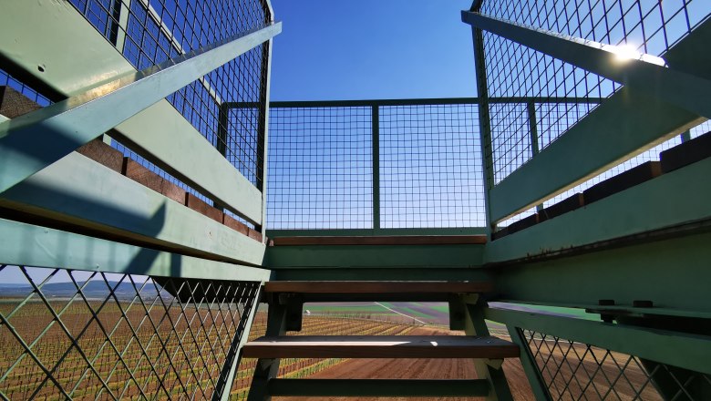 Heidbergwarte in Alberndorf, © Weinstraße Weinviertel