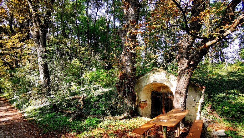 Kellergasse in Schrattenthal mit Tisch und Bänken im Wald.