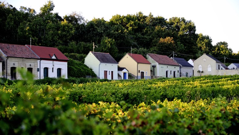Reihe von Weinkellern in einer gr&uuml;nen Landschaft mit B&auml;umen im Hintergrund.