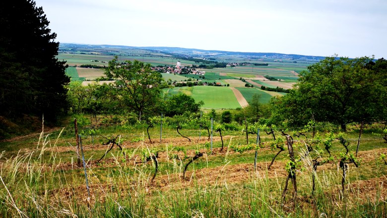 Weinberge und Felder im Weinviertel, Österreich.