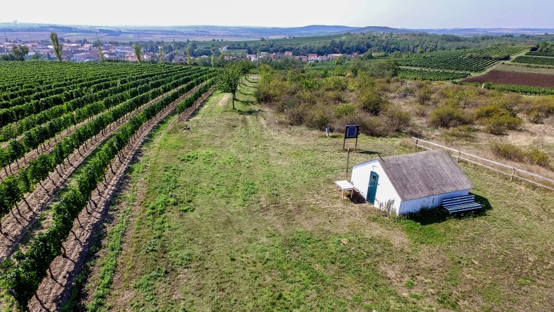 Landschaft mit Weinbergen und einer kleinen H&uuml;tte in R&ouml;schitz.