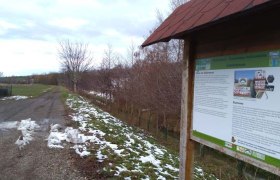 Am Themenweg Göllersbach, © Dorferneuerungsverein TEAM Breitenwaida