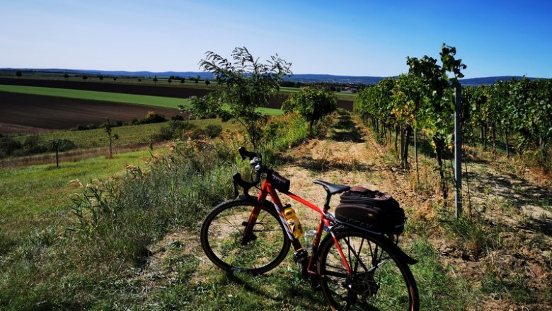 Mit dem Radl über den Schatzberg, © Weinstraße Weinviertel