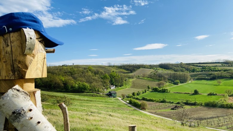 Holzfigur mit blauer Kappe blickt auf hügelige Landschaft mit Feldern und Wäldern unter blauem Himmel.