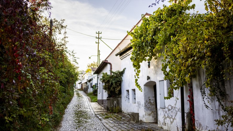 Sitzendorfer Kellergasse, © Niederösterreich Werbung / Robert Herbst