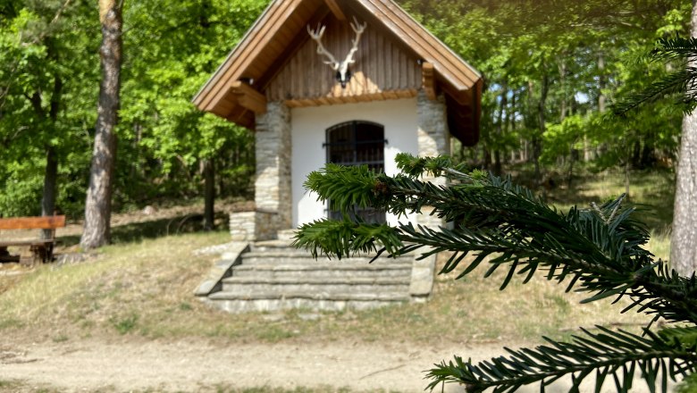 Kleine Kapelle im Wald mit Hirschgeweih &uuml;ber dem Eingang.
