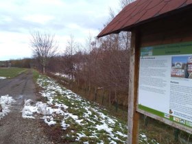 Am Themenweg Göllersbach, © Dorferneuerungsverein TEAM Breitenwaida